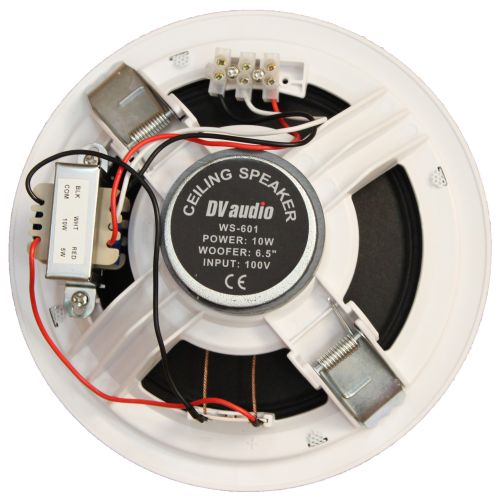 Потолочная акустическая система DV audio WS-601 Потолочная акустическая система DV audio WS-601