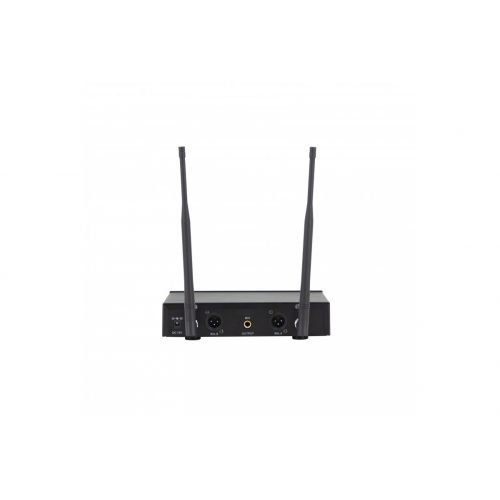 Радиосистема DV audio MGX-24H MKII с ручными микрофонами