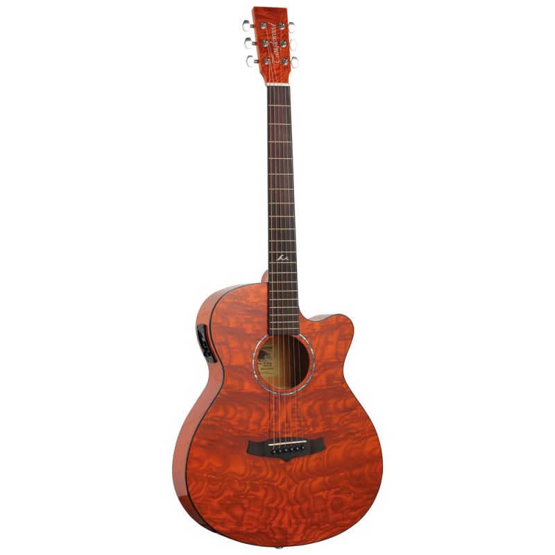Гитара электроакустическая TANGLEWOOD TA4 CE HN