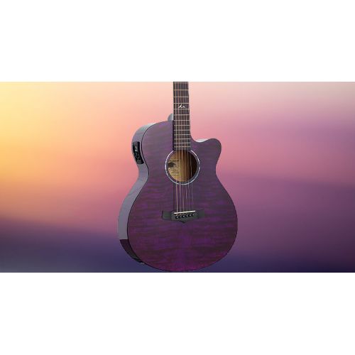 Гитара электроакустическая TANGLEWOOD TA4 CE PU
