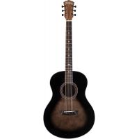 ΠΠΊΡΡΡΠΈΡΠ΅ΡΠΊΠ°Ρ Π³ΠΈΡΠ°ΡΠ° Washburn BTS9CH-D-U