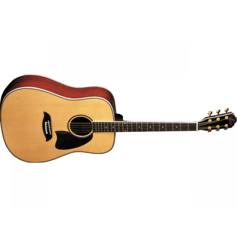 Акустическая гитара Washburn OG2 N