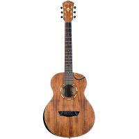 ΠΠΊΡΡΡΠΈΡΠ΅ΡΠΊΠ°Ρ Π³ΠΈΡΠ°ΡΠ° Washburn WCGM55K-D-U