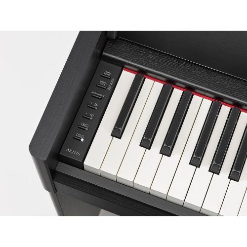 Цифровое пианино YAMAHA ARIUS YDP-S55 (Black)