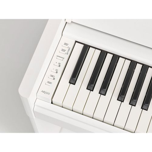 Цифровое пианино YAMAHA ARIUS YDP-S55 (White)